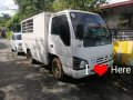 White Isuzu Nhr 2009 for sale-3