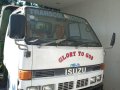 Pearl White Isuzu Elf 2006 for sale in Bacolod-0