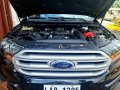 Sell Black 2018 Ford Everest in Cainta-6
