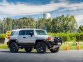 Grey Toyota FJ Cruiser 2015 for sale in Pasay -9