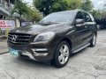 Silver Mercedes-Benz ML250 2013 for sale in Pasig -9