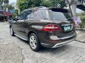 Silver Mercedes-Benz ML250 2013 for sale in Pasig -7
