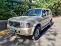 Sell Silver 2004 Ford Everest in Pasig-8