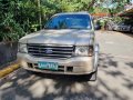 Sell Silver 2004 Ford Everest in Pasig-1