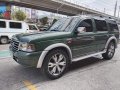 Sell Green 2006 Ford Everest in Quezon City-1