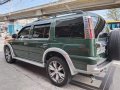 Sell Green 2006 Ford Everest in Quezon City-3