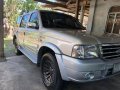 Silver Ford Everest 2022 for sale in Manila-6