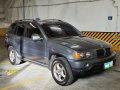 Silver BMW X5 2001 for sale in Paranaque -6