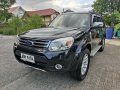 Selling Black Ford Everest 2014 in Antipolo-8
