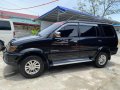 RUSH sale!!! 2010 Isuzu Sportivo SUV / Crossover at cheap price-5