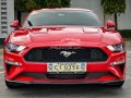Second hand 2019 Ford Mustang  2.3L Ecoboost for sale in good condition-2