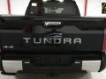 Brand New Toyota Tundra Capstone 4x4 AT -4