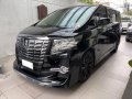 Perfect Condition first owned Alphard-3