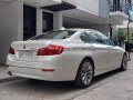 2017 BMW 520D Luxury-5