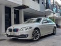 2017 BMW 520D Luxury-11