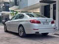 2017 BMW 520D Luxury-12