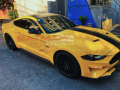 2018 Ford Mustang 5.0  V8 GT-1
