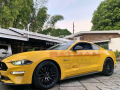 2018 Ford Mustang 5.0  V8 GT-2