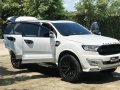 HOT!!! 2019 Ford Everest Titanium LOADED for sale at affordable price -1