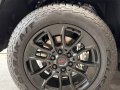 2024 Toyota Tundra Limited with TRD Off Road Package 4x4-4