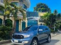HOT!!! 2017 Ford Everest Titanium Plus 4x4 for sale at affordable price -0