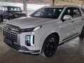 HOT!!! 2024 Hyundai Palisade Facelifted VIP for sale at affordable price-1