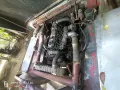 Jeepney 4D33 Mitsubishi for Sale-6