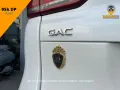 2019 GAC GM8 320T Automatic-32