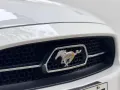 HOT!!! 2015 Ford Mustang GT 5.0 V8 50th Anniversary Edition for sale at affordable price! -9