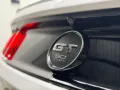 HOT!!! 2015 Ford Mustang GT 5.0 V8 50th Anniversary Edition for sale at affordable price! -5
