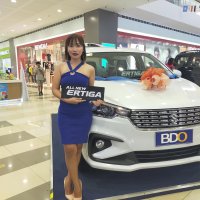 ELITE NORTH AUTOCARS, INC