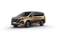 GAC GN6 Brown