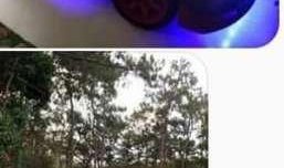 Honda fit 1.5 vtec engine