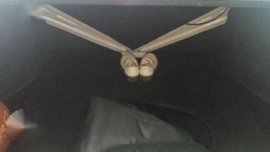 Honda City 2001 Type Z