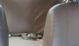 chevrolet optra 2006