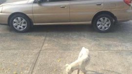 Almost brand new Kia Rio 2004 for sale