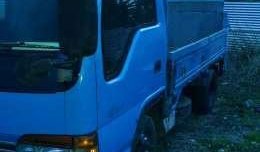 Isuzu Elf Dropside Blue 2004 MT For Sale