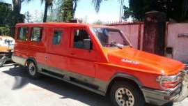 XLT Ford Piera custom build