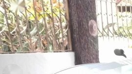 Pajero 2005 for sale 