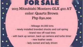 2013 Mitsubishi Montero Sport