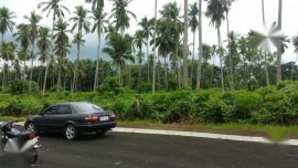 Powerful 1998 Toyota Corolla Gli Lovelife For Sale