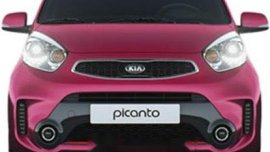 Kia Picanto EX 2017 New for sale at best price