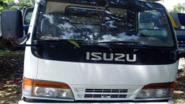 isuzu elf giga mini dump