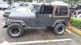 FS Wrangler Jeep