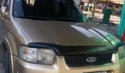 Ford Escape 2004 AT Beige SUV For Sale 