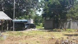 Mitsubishi GRANDIS 2009