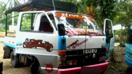 Isuzu Elf 4WD Dropside Truck for Sale
