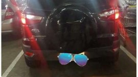 Ford eco sport trend 2014 matic