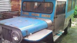 Good Running Condition 1994 Mitsubishi Jeep MT For Sale