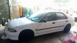 Honda Civic white paint for sale 